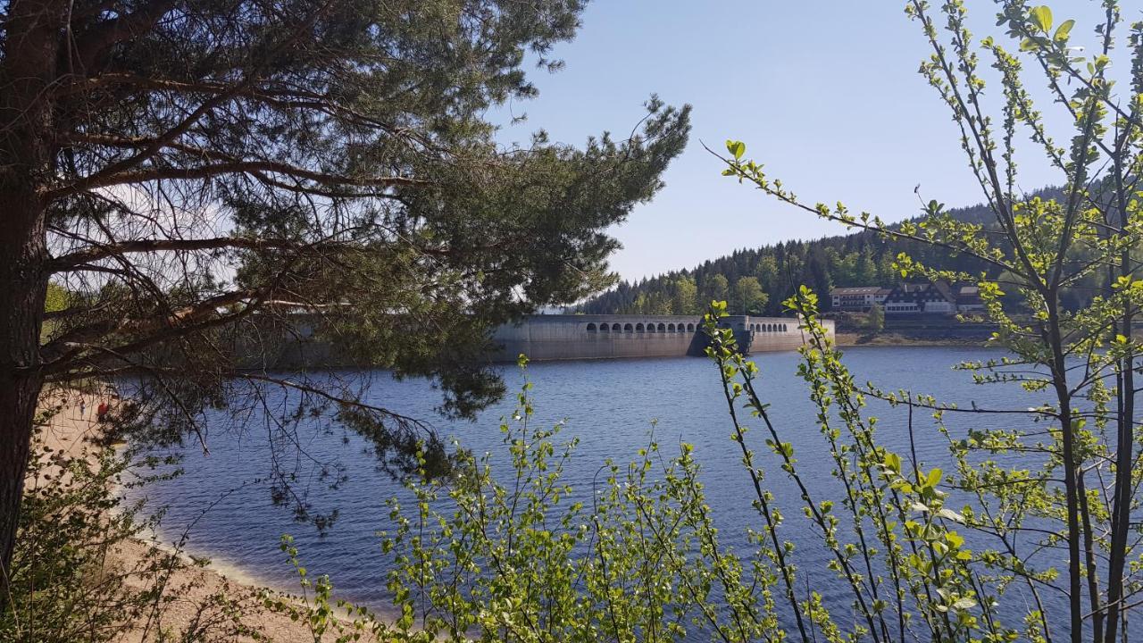 Ferienwohnung Vogelnest Im Schwarzwald Baiersbronn Exterior foto