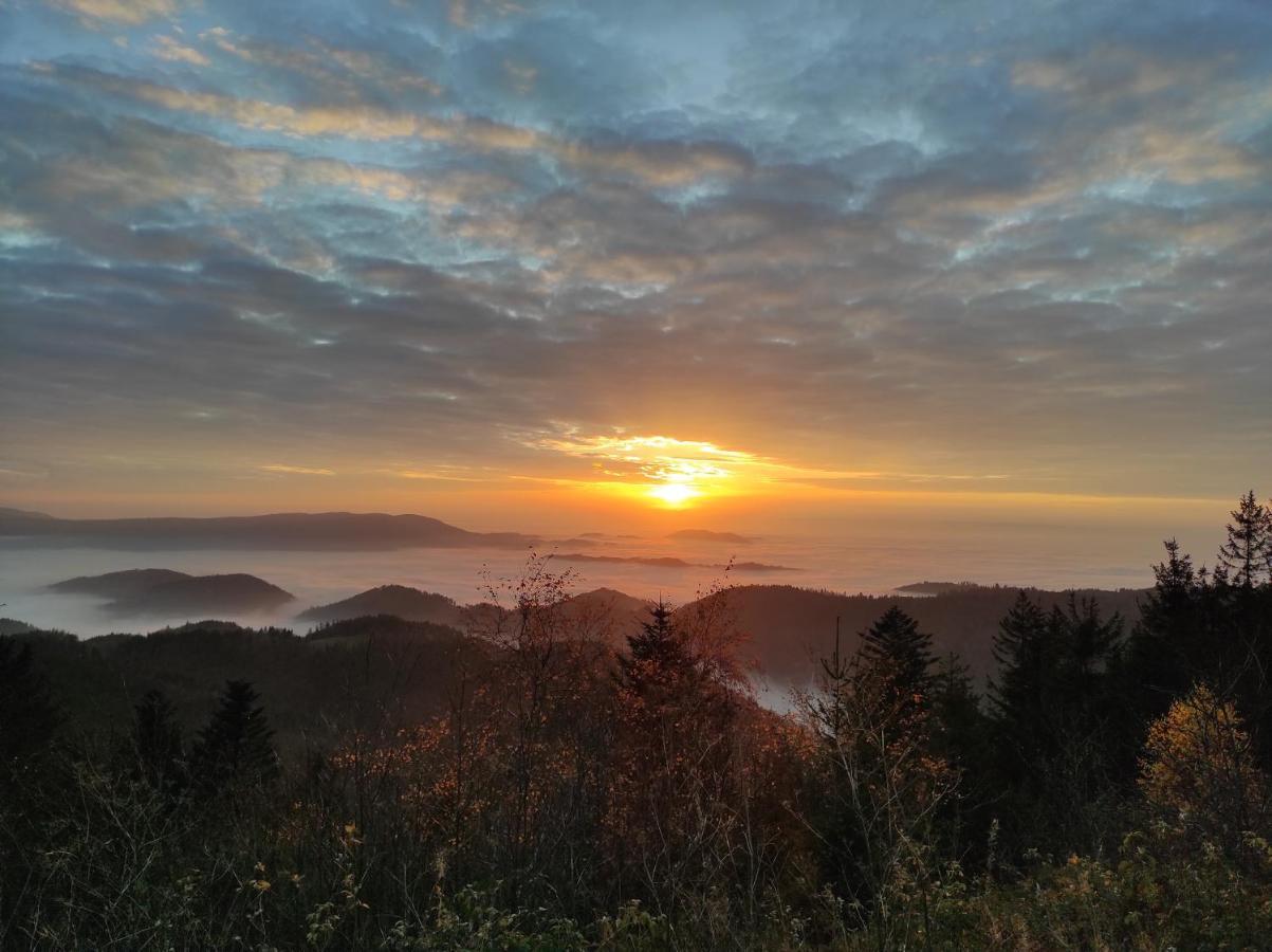 Ferienwohnung Vogelnest Im Schwarzwald Baiersbronn Exterior foto