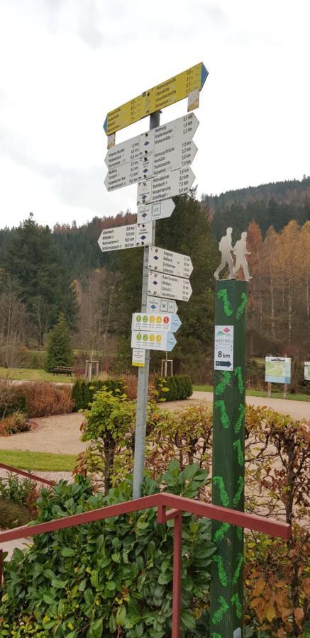 Ferienwohnung Vogelnest Im Schwarzwald Baiersbronn Exterior foto