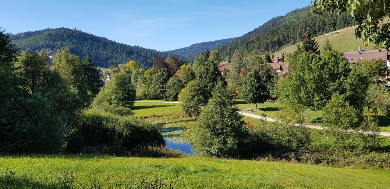 Ferienwohnung Vogelnest Im Schwarzwald Baiersbronn Exterior foto