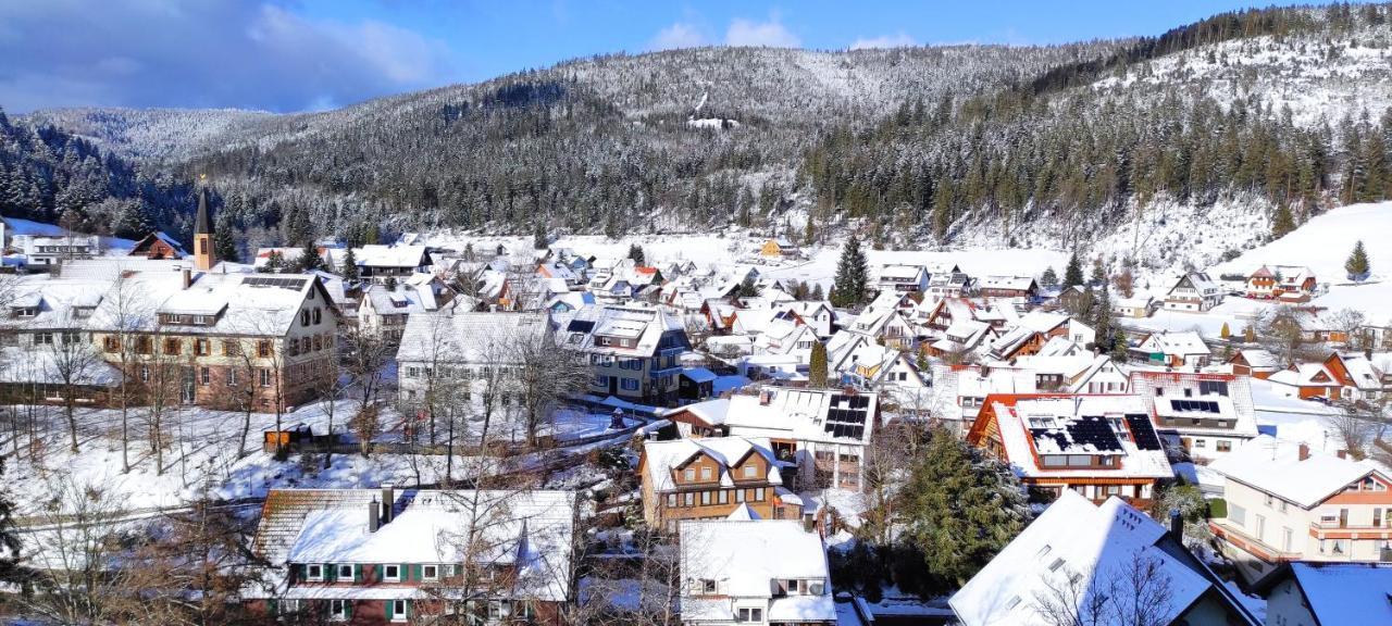 Ferienwohnung Vogelnest Im Schwarzwald Baiersbronn Exterior foto